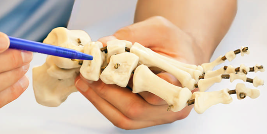 Orthopedic Doctor’s Office