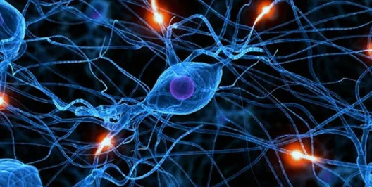 NeuroLife Clinic